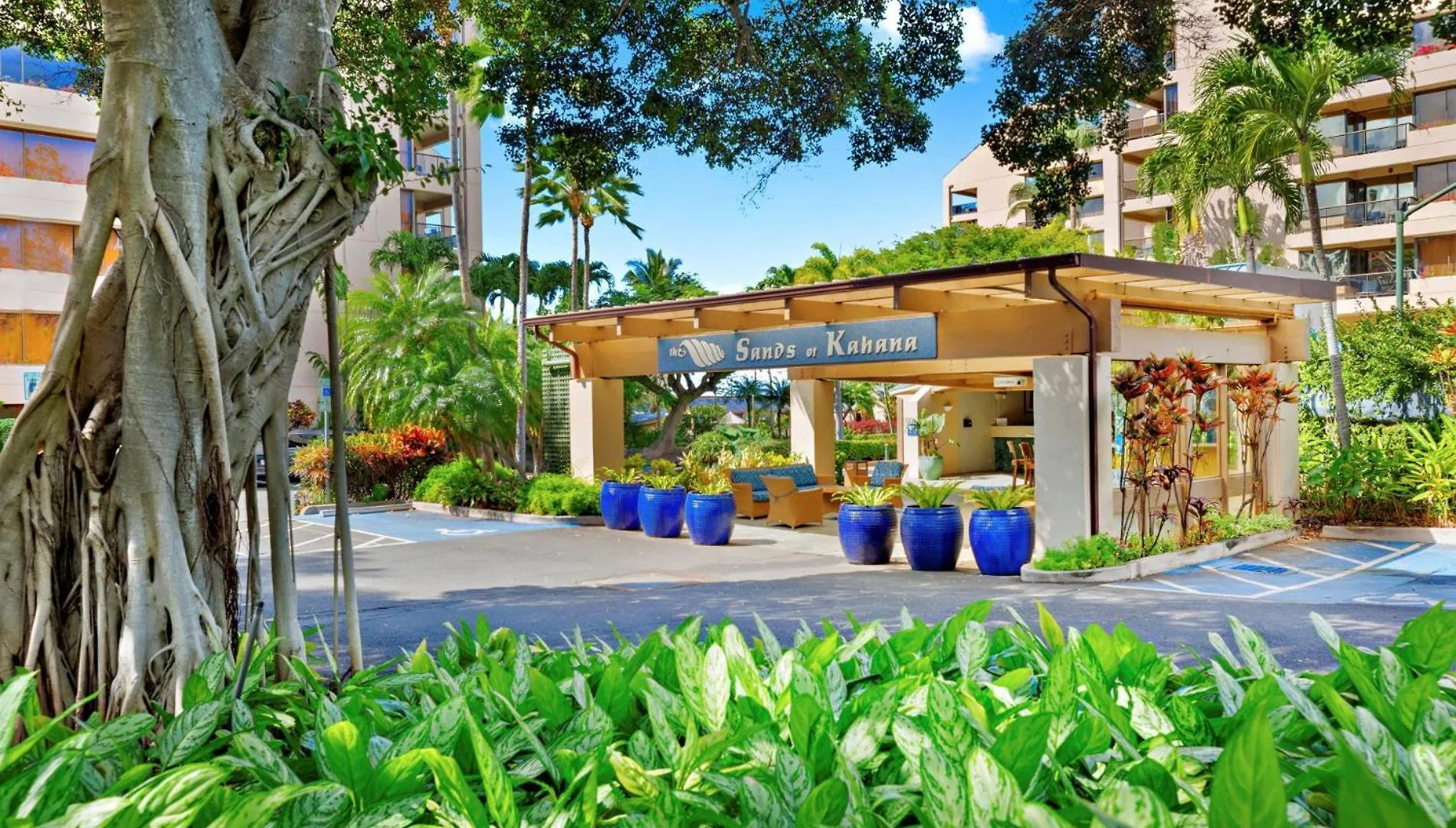 Ocean Front Remodeled Corner Unit W/ Ac - Sk234 Villa Kahana
